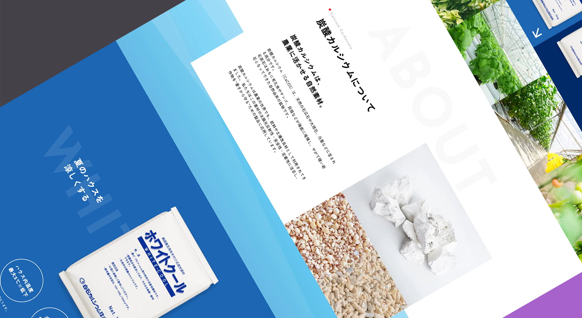 comadoのwebサイト制作事例｜白石グループ様